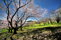 古室山古墳