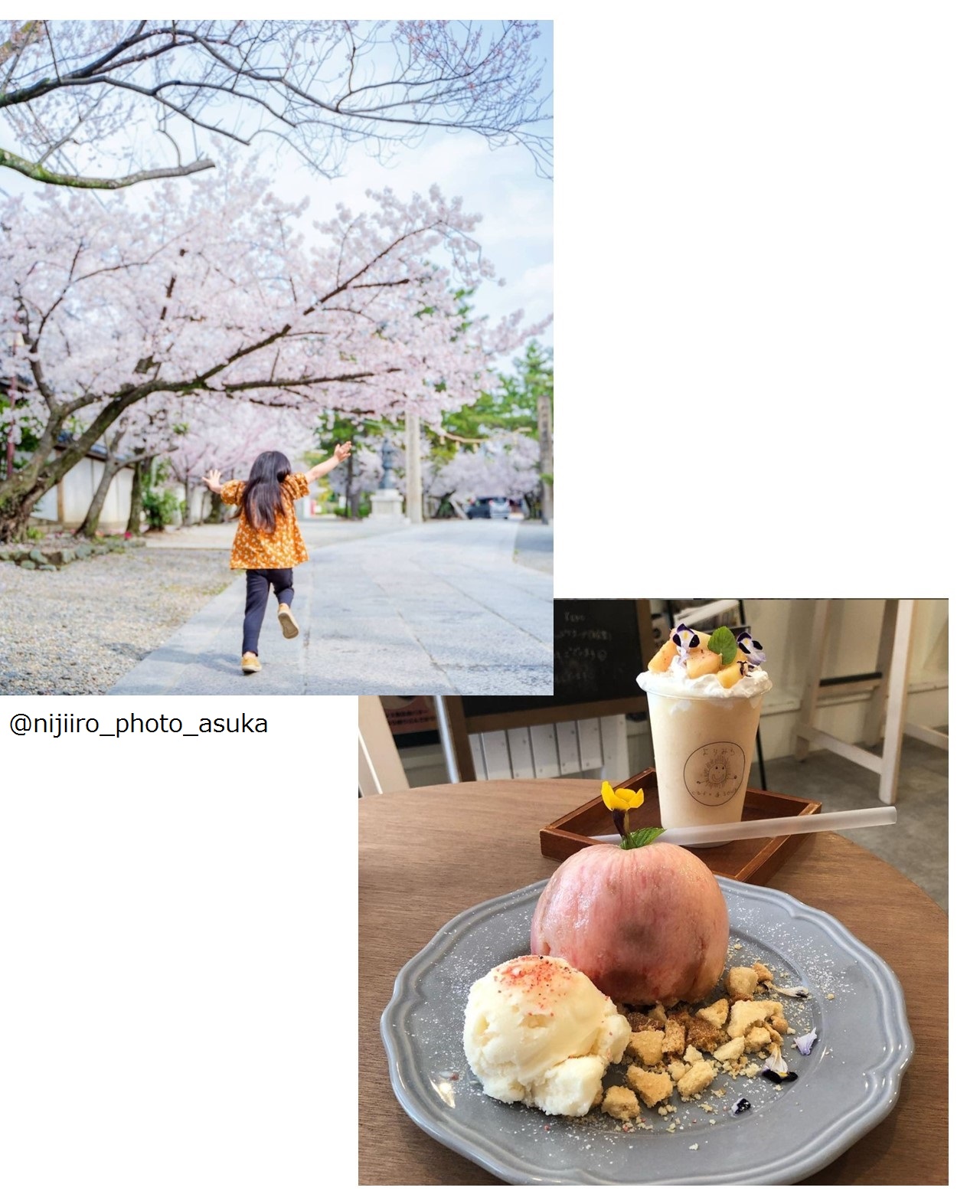 藤井寺市 移住