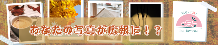 あなたの夏の一枚を共有してください!イチ推し写真募集中!