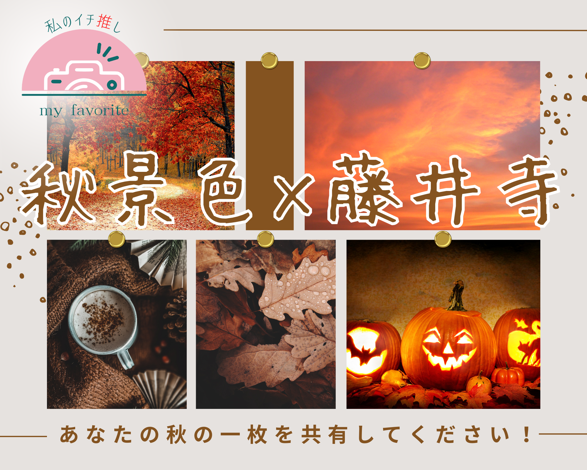 あなたの夏の一枚を共有してください!あなたのイチ推し写真をお寄せください!