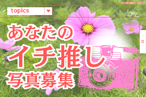 あなたの夏の一枚を共有してください!イチ推し写真募集中!