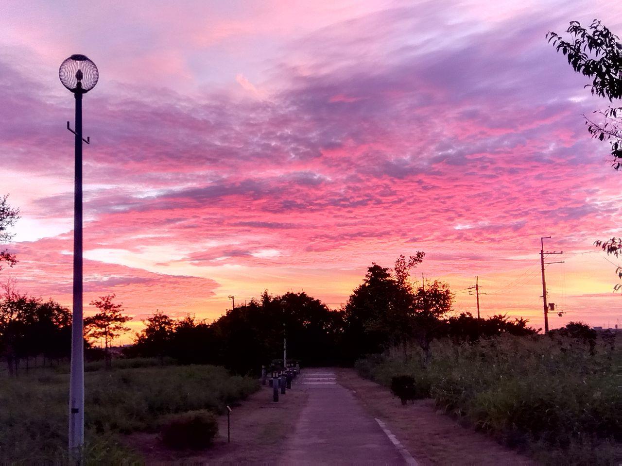 きれいな夕焼けの写真