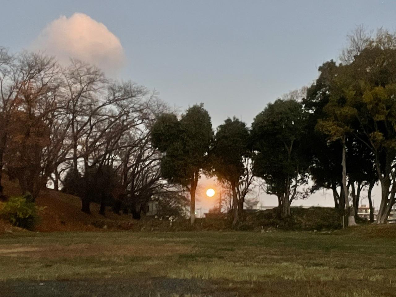 古室山古墳の木々の間から月が見える写真