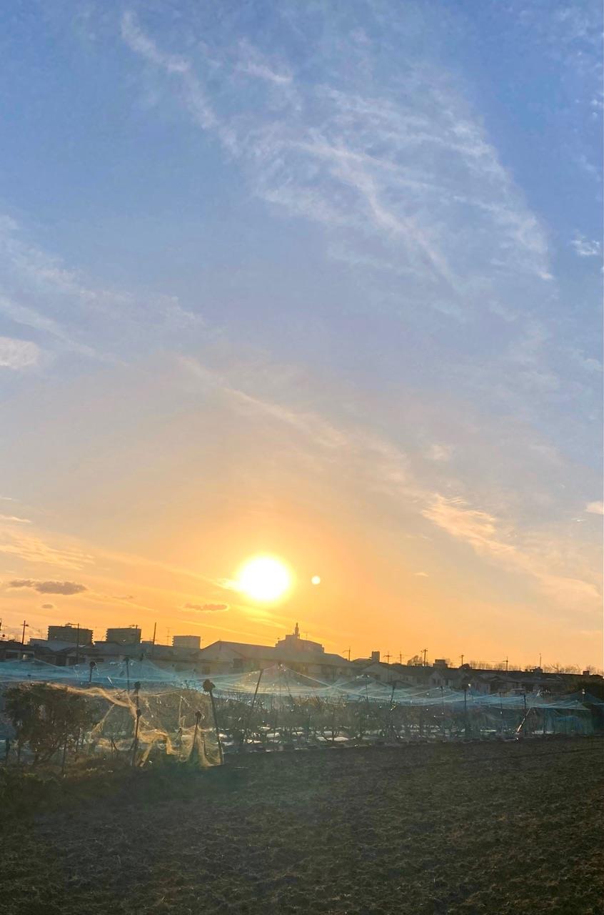 畑から取った夕焼け写真