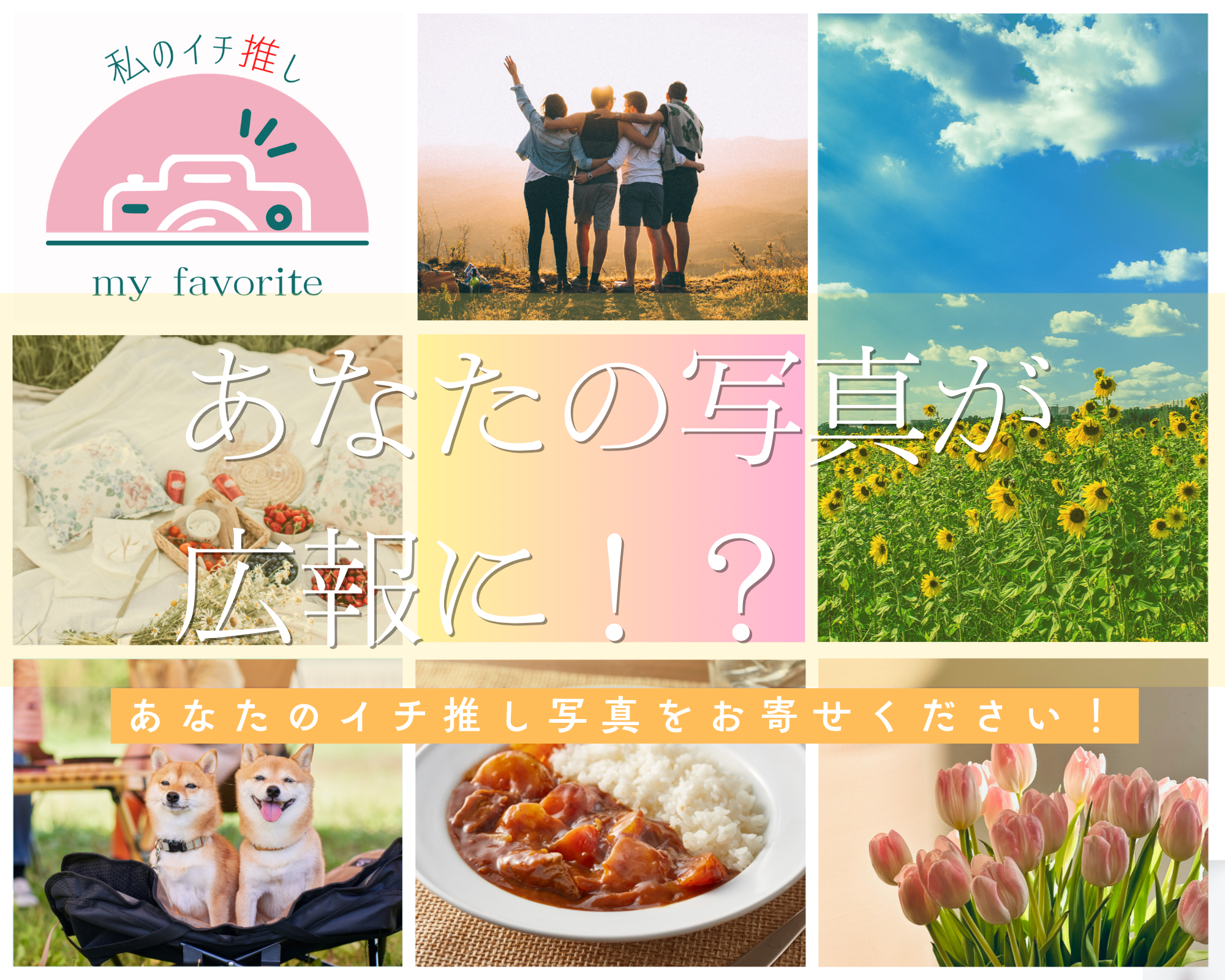 あなたの一枚を共有してください!あなたのイチ推し写真をお寄せください!