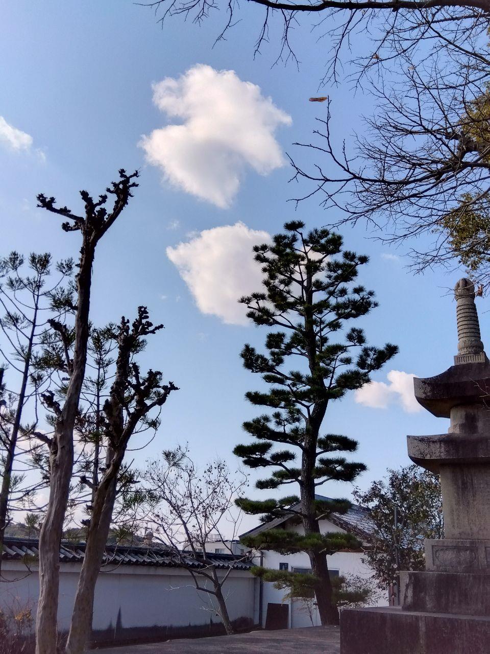 夕暮れ時の道明寺尼寺