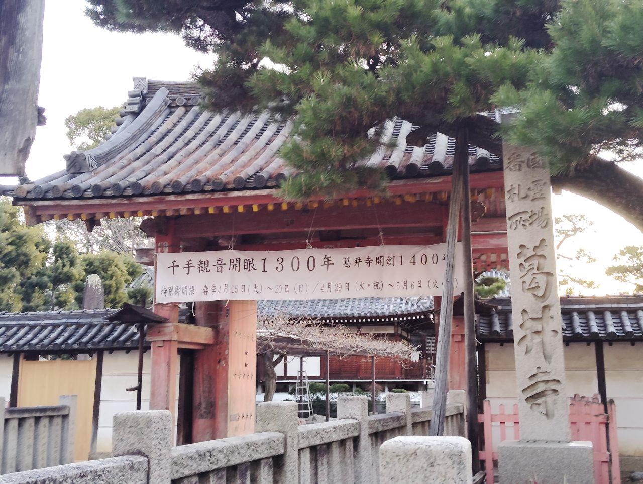 葛井寺の門構えの写真