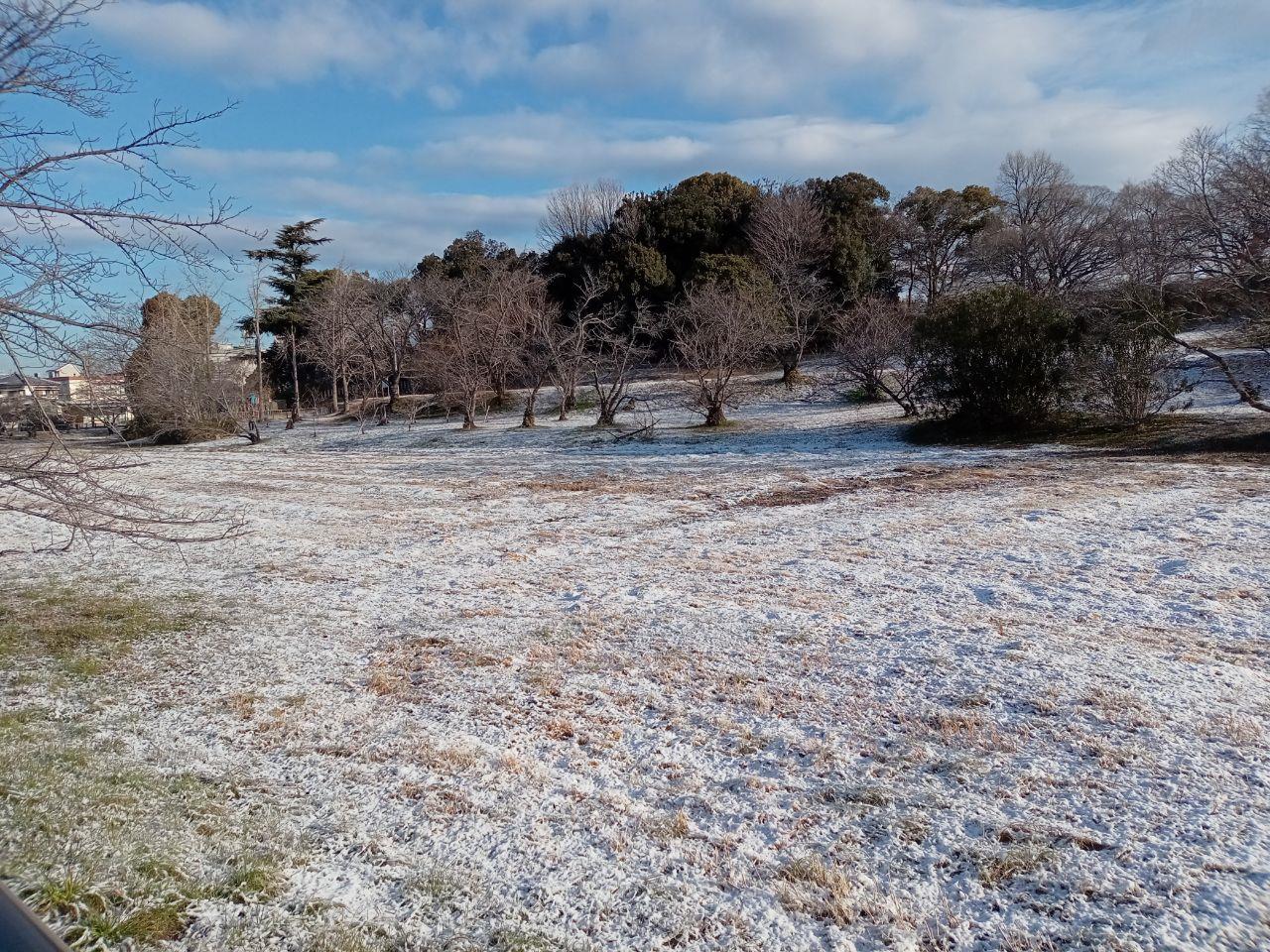 城山古墳に雪が積もっている様子