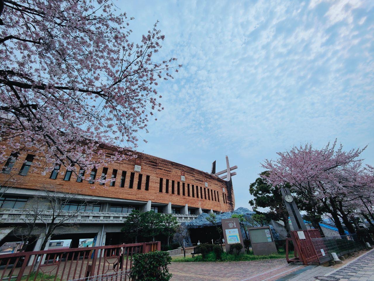 アイセルシュラホールと、咲いている桜の写真