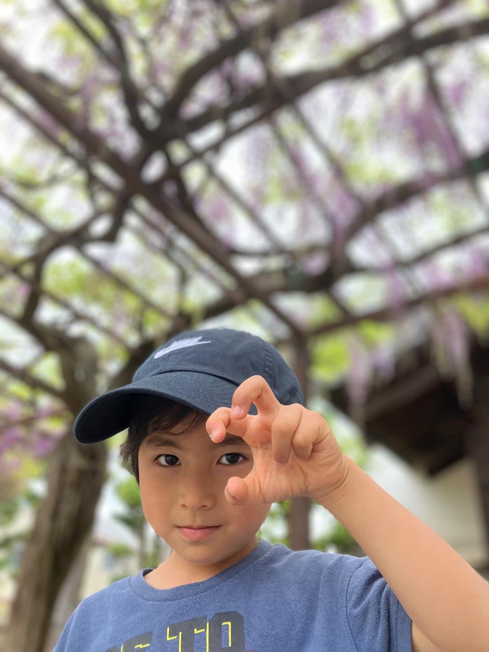 葛井寺でお子さんがポーズしている写真