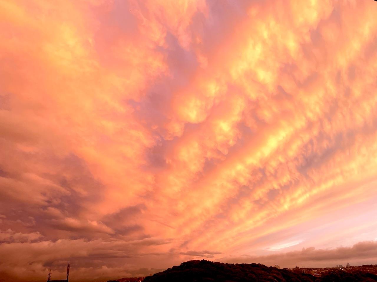 古墳の上の夕焼けの写真