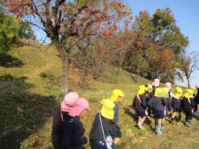 城山古墳に行くと秋の自然が広がっていて、季節の変化を感じることができました。