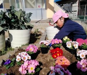 花壇に花を植える