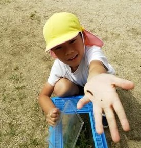 しじみちょう
