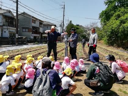 なえうえ