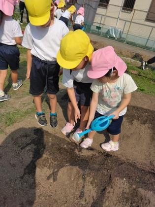 水やりの方法を教えてもらっている
