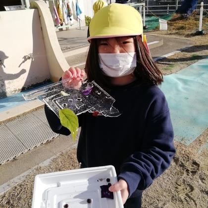 きれいな氷ができました
