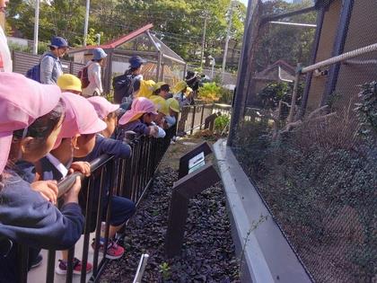 天王寺動物園に行ってきました