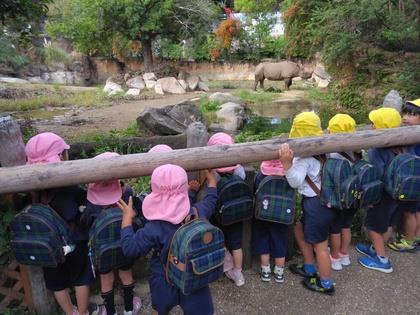 天王寺動物園に行ってきました