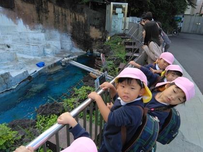 天王寺動物園に行ってきました