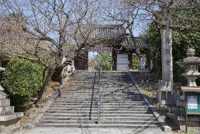 画像17