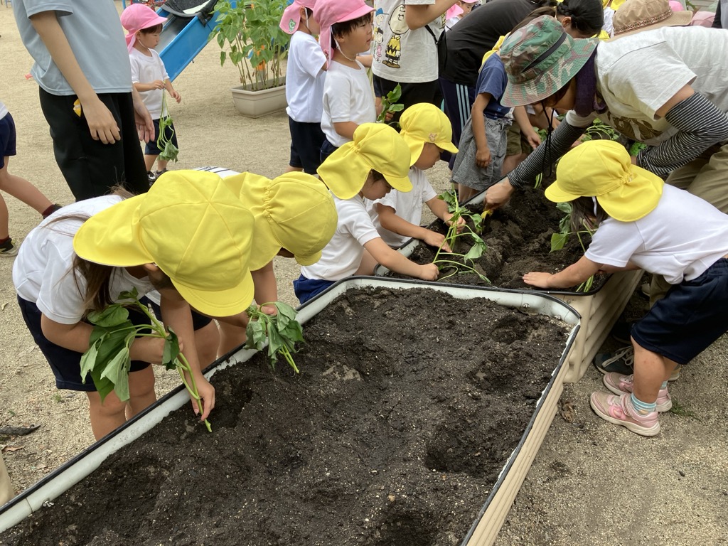 苗を植える子ども達