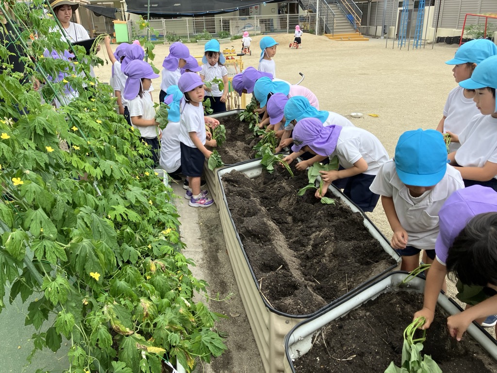 苗を植える子ども達