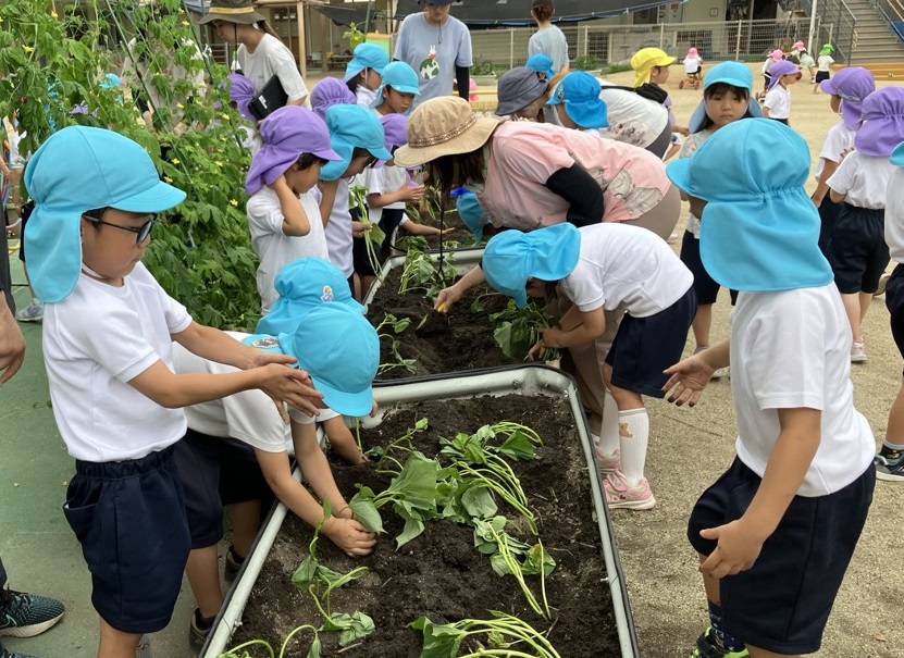 苗を植える子ども達
