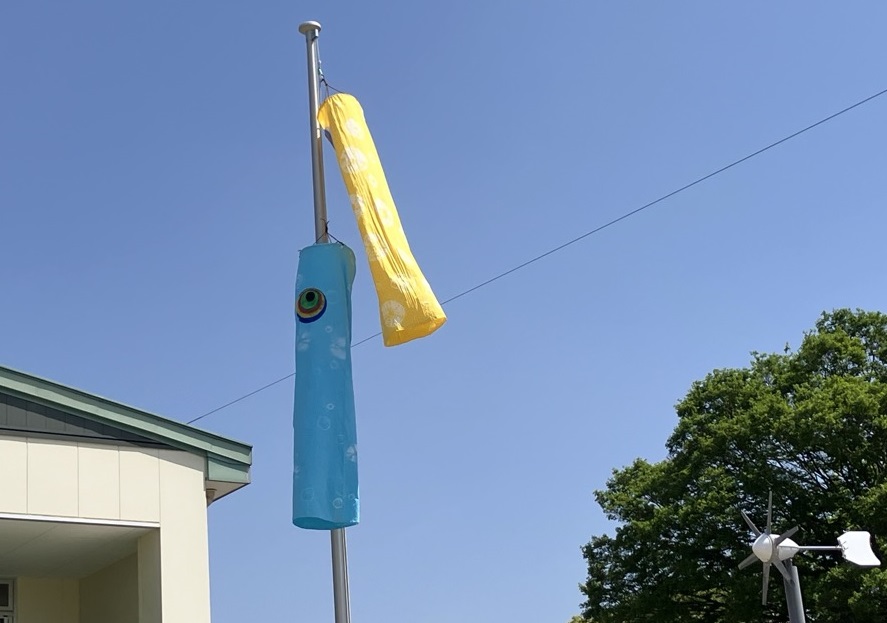 こいのぼり披露