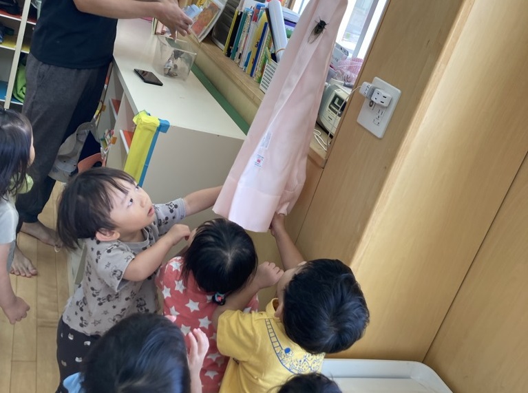 セミで遊ぶ子ども達