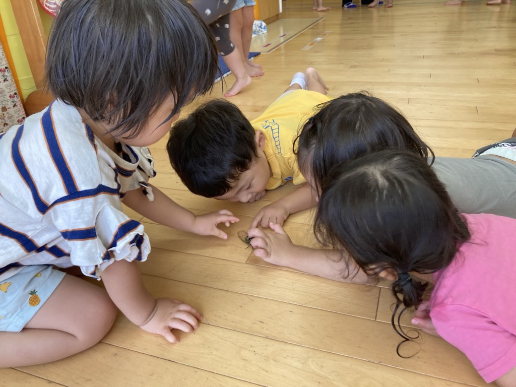 セミで遊ぶ子ども達