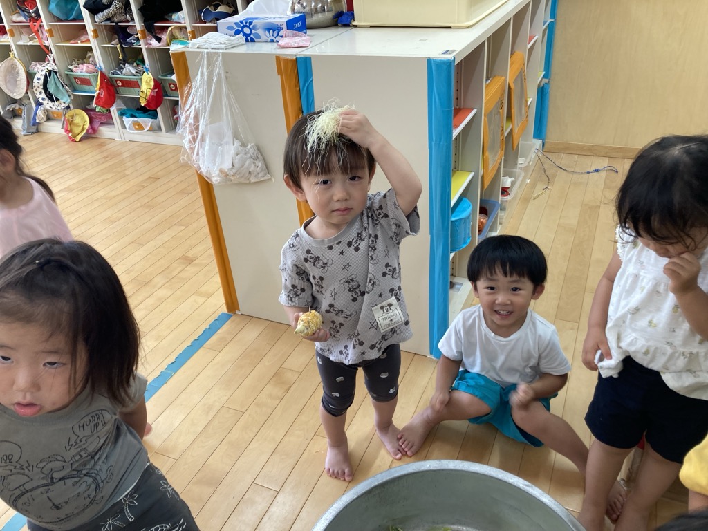 トウモロコシの収穫