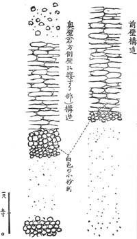城山古墳の石槨構造図