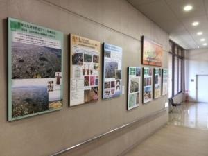 市立図書館展示室