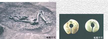 (左)発掘された縄紋時代の人骨(大阪府教育委員会)(右)出土したケツ状耳飾り(京都大学総合博物館)