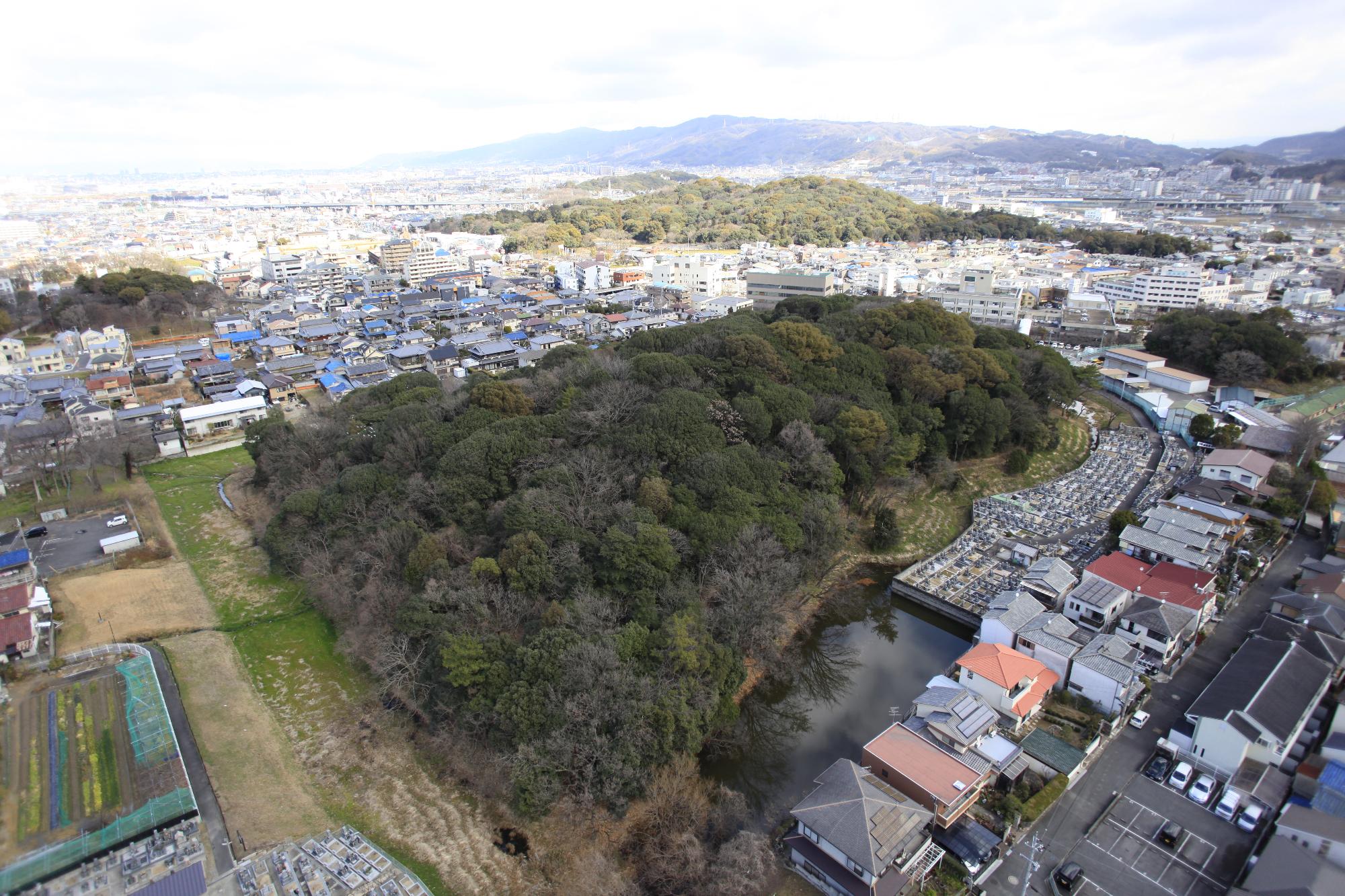hakayama1