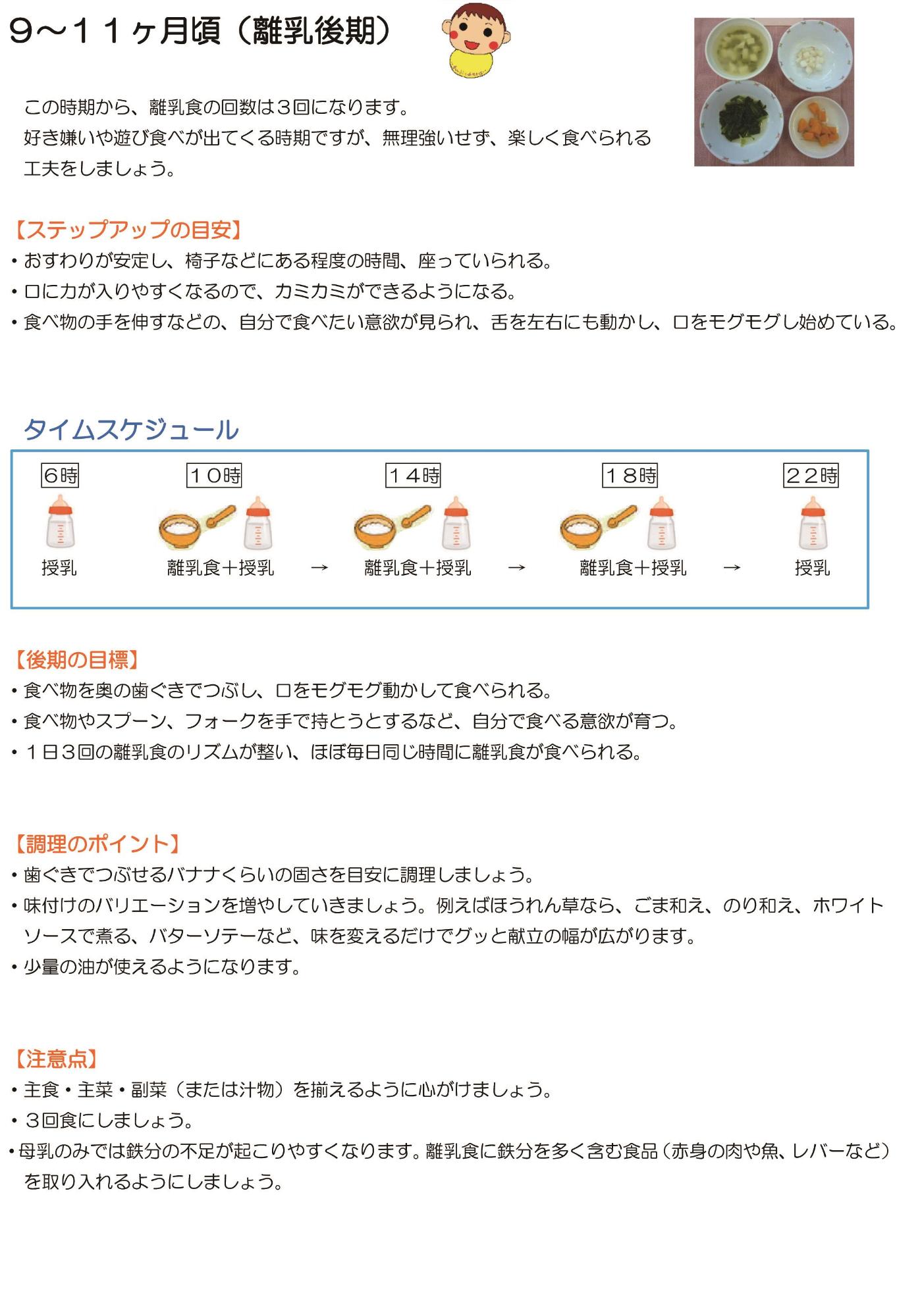 9～11ヶ月（離乳後期）