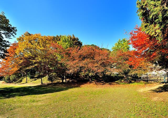 紅葉に囲まれている野中宮山古墳の写真