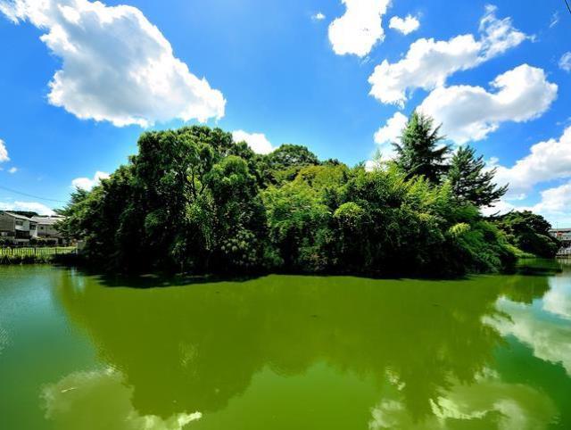 緑葉に囲まれている野中宮山古墳の写真