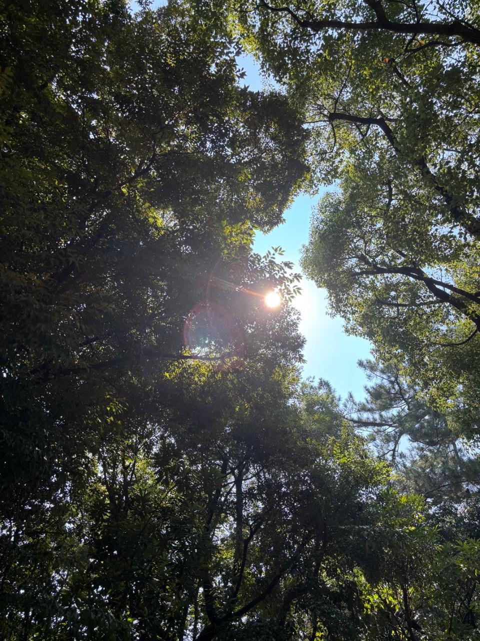 辛國神社で撮った写真