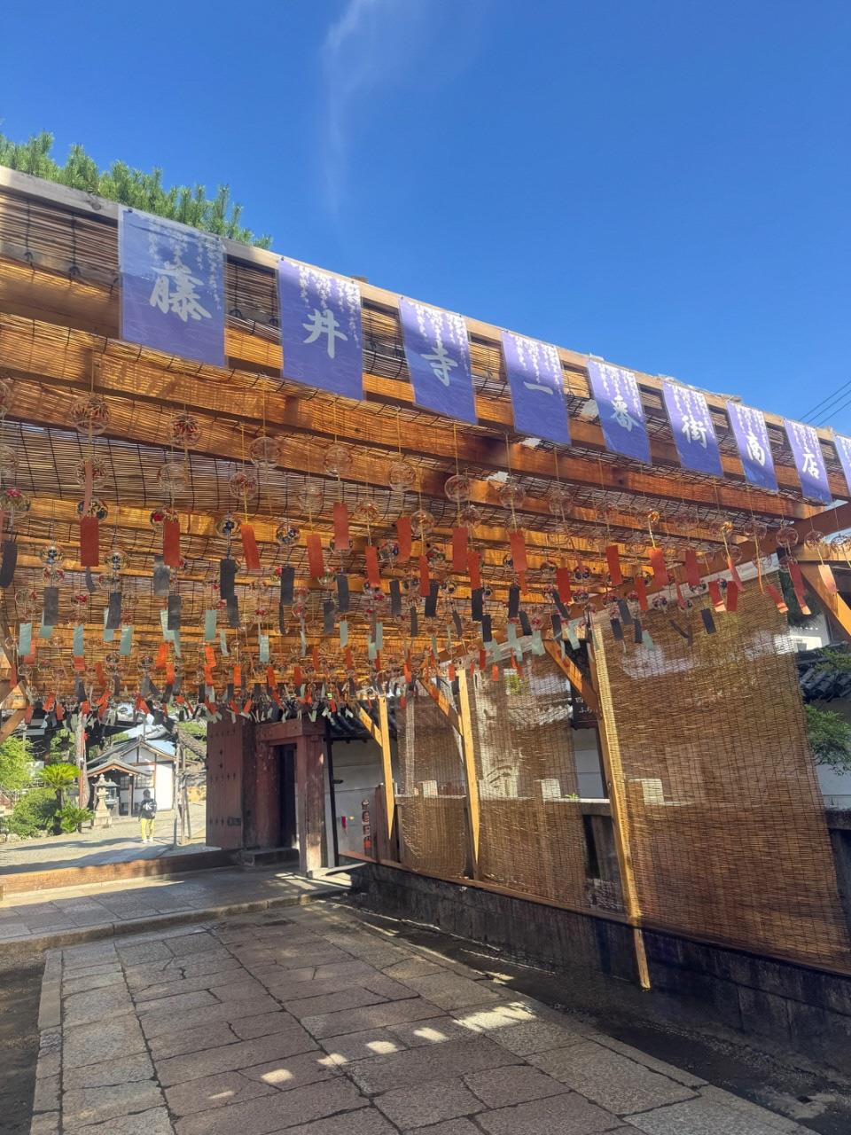 たくさんの風鈴がならんだ写真