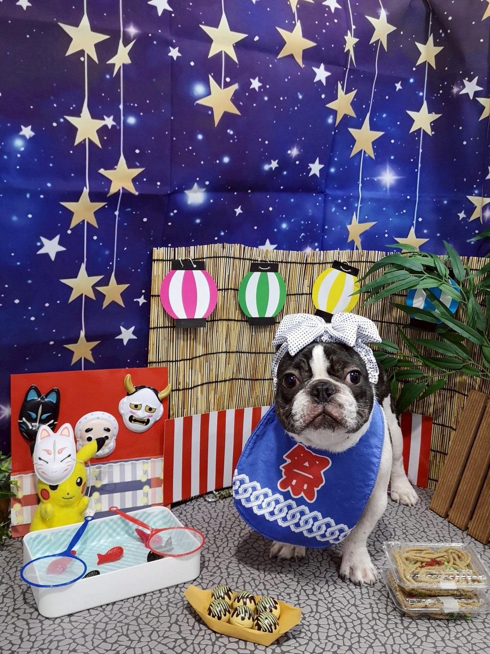 夏らしいフォトスポットにいる犬の写真