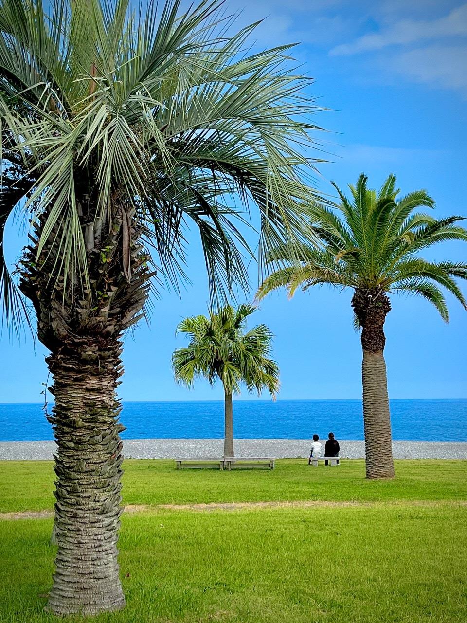 海とイスに座る二人の背中