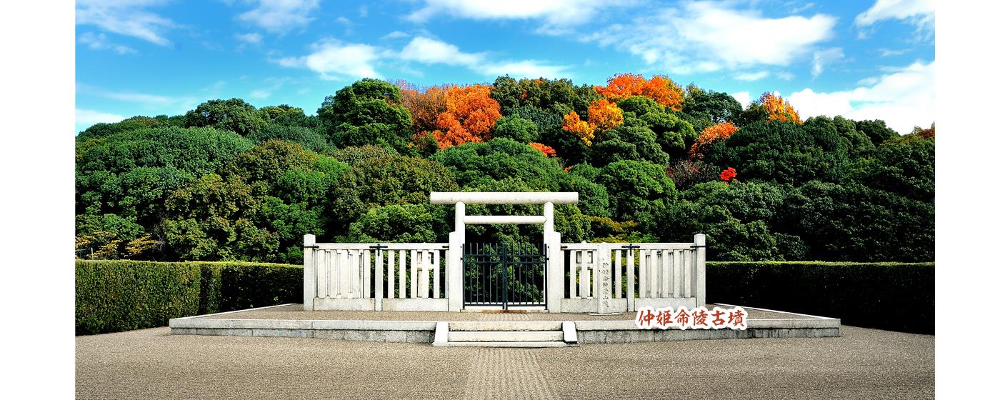 紅葉が色づいている仲姫命陵古墳