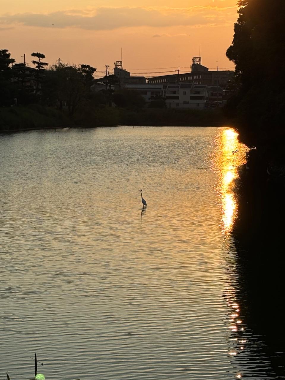 夕焼け