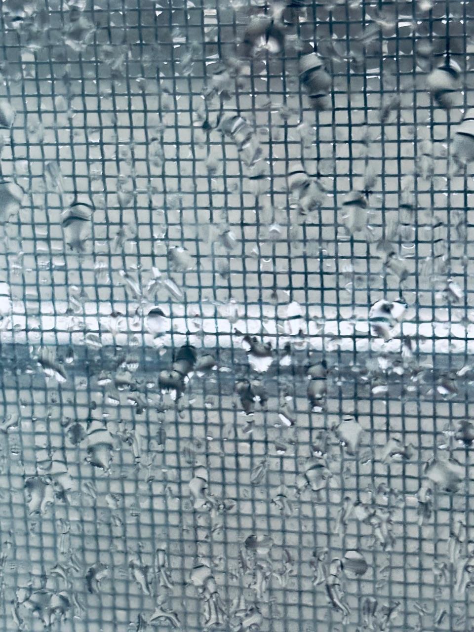 雨