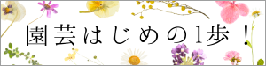 「園芸はじめの一歩！」コーナーへのリンクバナー