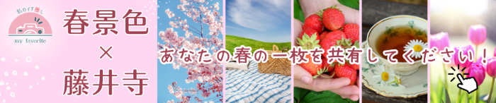 あなたの春の一枚を共有してください！イチ推し写真募集中！