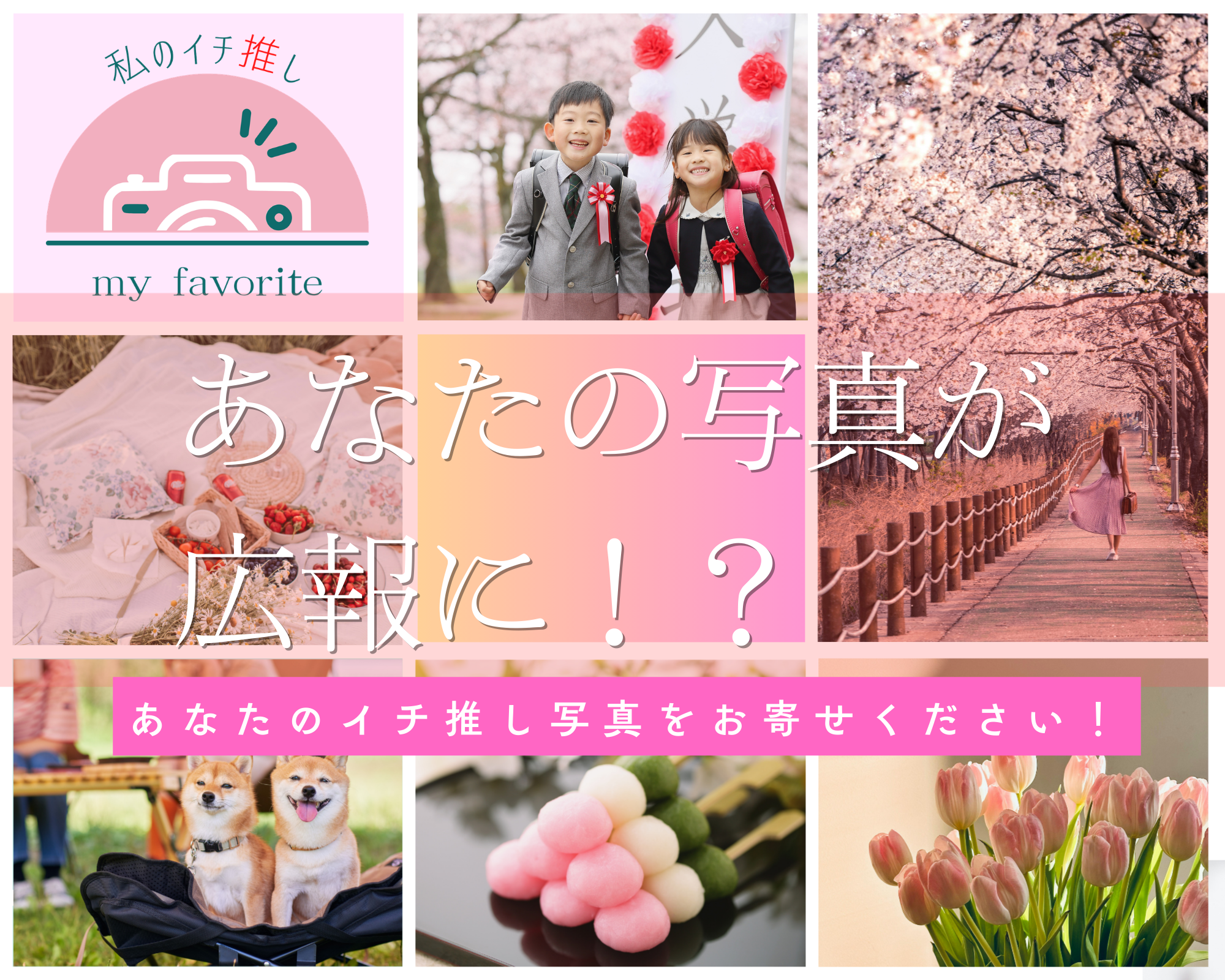 あなたの春の一枚を共有してください！あなたのイチ推し写真をお寄せください！