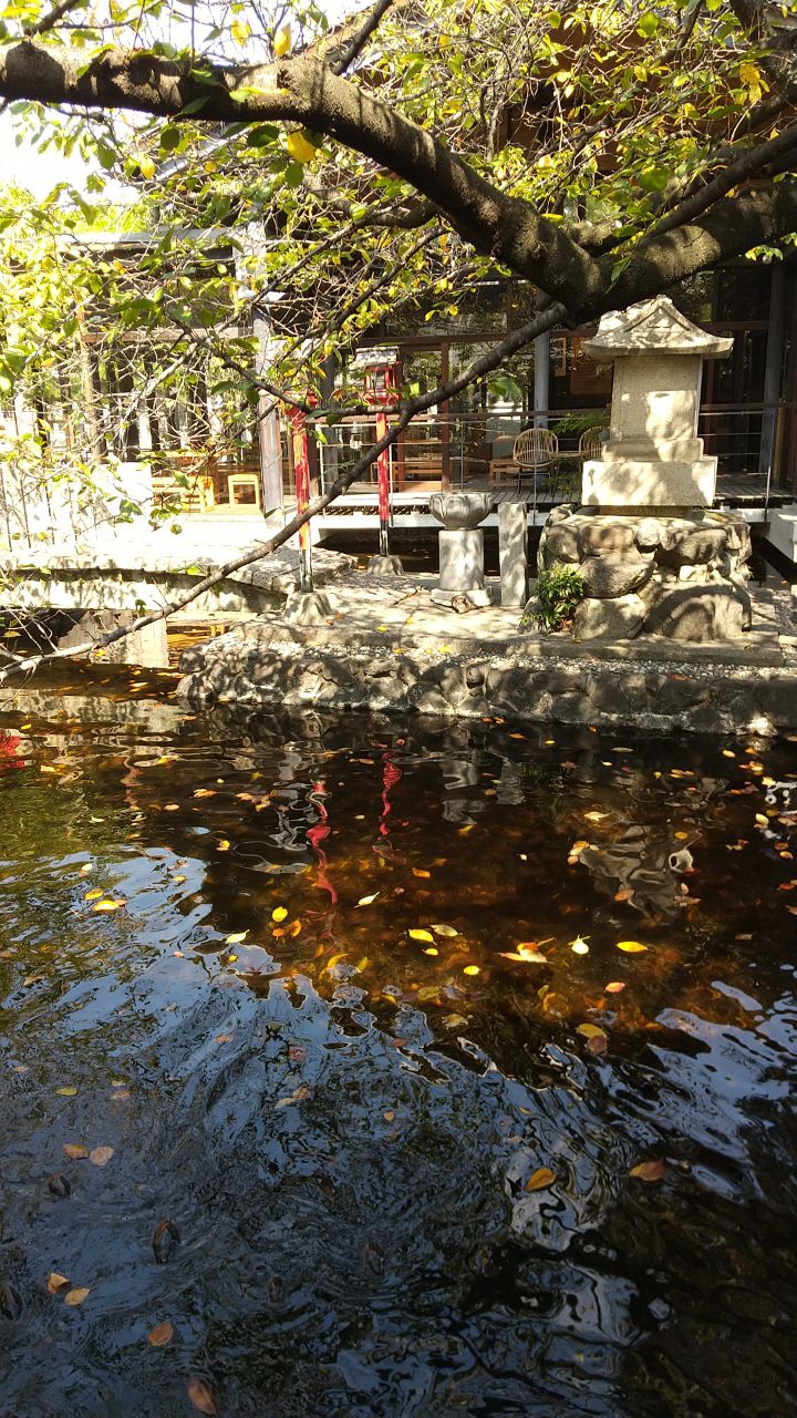 葛井寺の鯉がいる池の写真